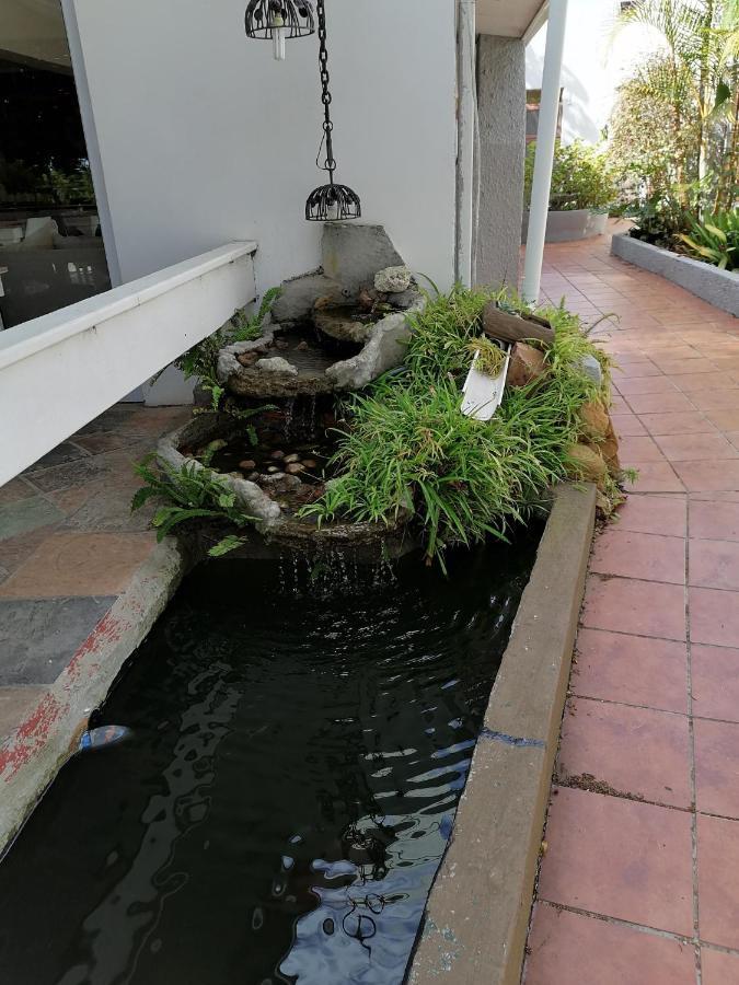Mangolds Guest House Port Elizabeth Esterno foto